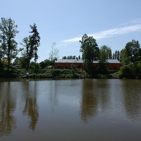Florennes Gite Neuf 150 M2 Devant Un Grand Lac Prive De 2 Hectares Poissonneux Au Milieu Des Bois Exterior foto