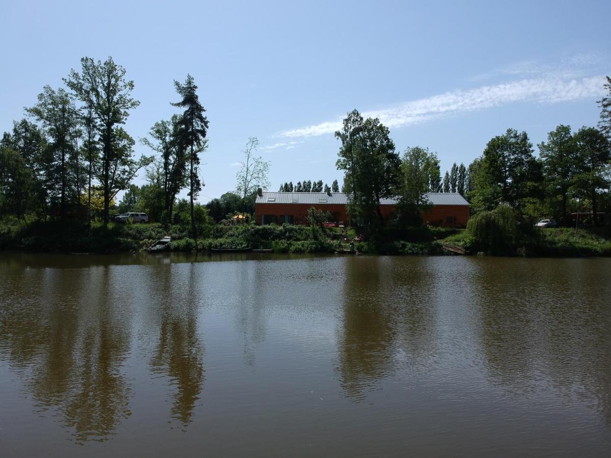 Florennes Gite Neuf 150 M2 Devant Un Grand Lac Prive De 2 Hectares Poissonneux Au Milieu Des Bois Exterior foto