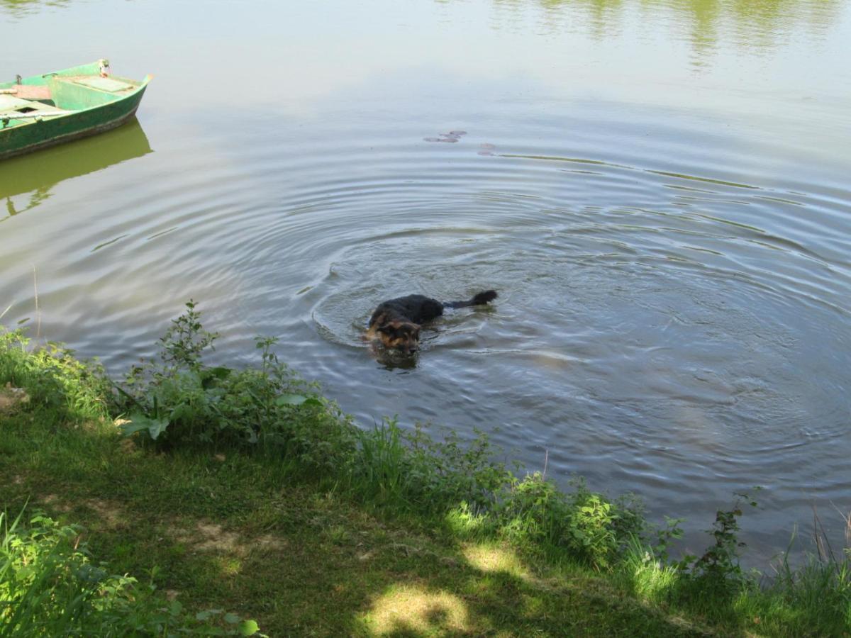 Florennes Gite Neuf 150 M2 Devant Un Grand Lac Prive De 2 Hectares Poissonneux Au Milieu Des Bois Exterior foto