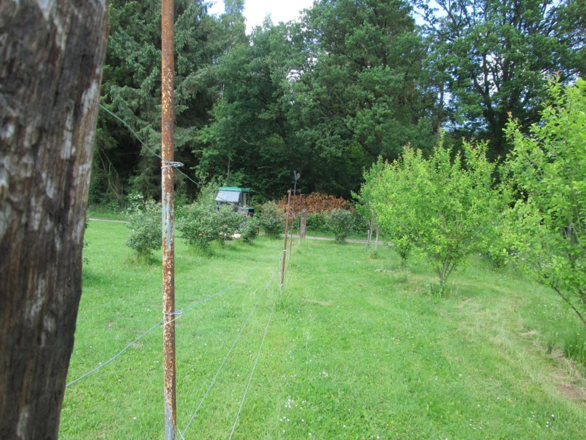 Florennes Gite Neuf 150 M2 Devant Un Grand Lac Prive De 2 Hectares Poissonneux Au Milieu Des Bois Exterior foto