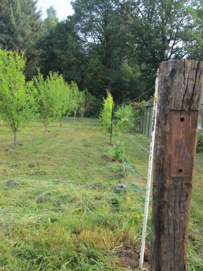 Florennes Gite Neuf 150 M2 Devant Un Grand Lac Prive De 2 Hectares Poissonneux Au Milieu Des Bois Exterior foto