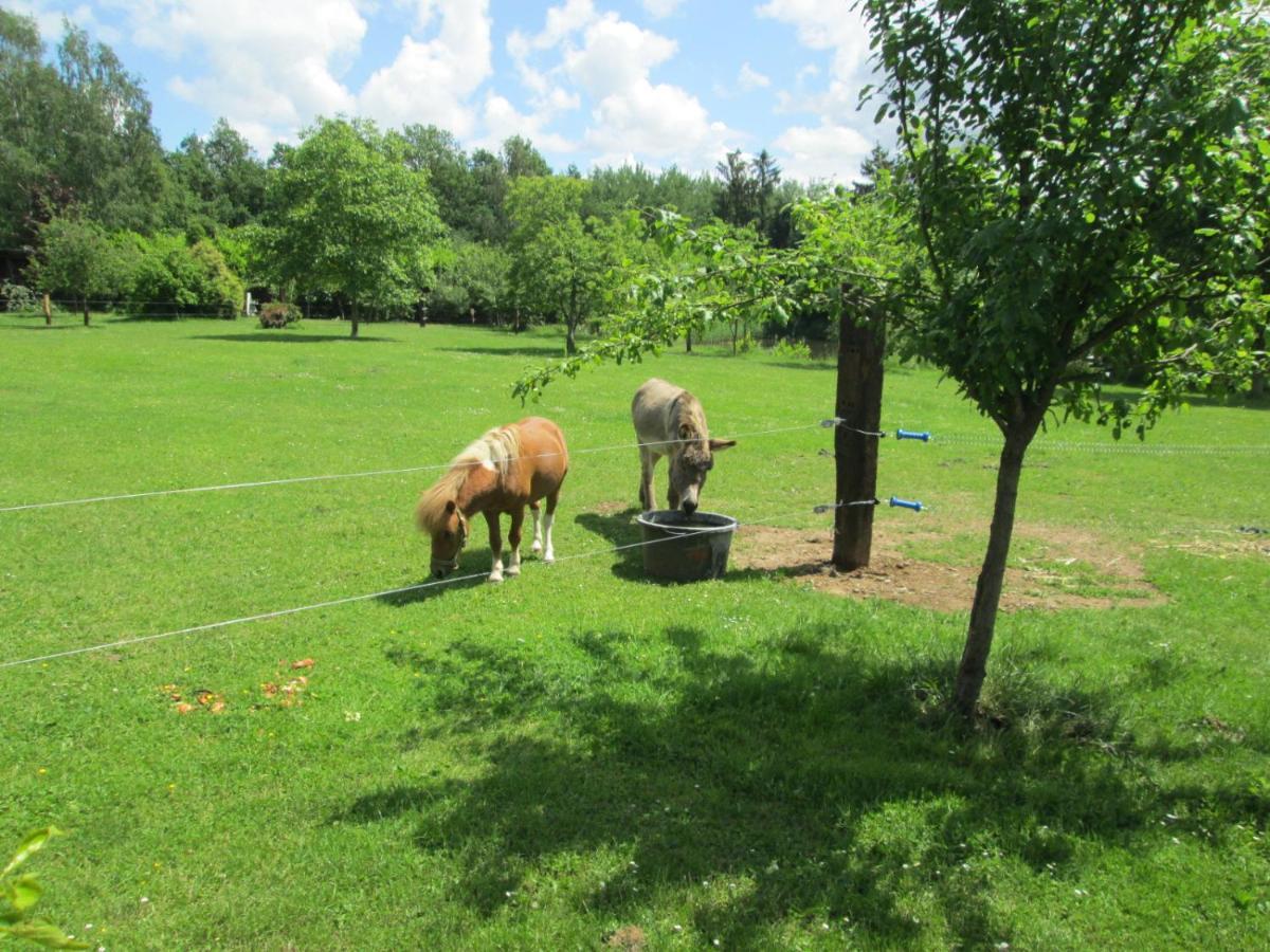 Florennes Gite Neuf 150 M2 Devant Un Grand Lac Prive De 2 Hectares Poissonneux Au Milieu Des Bois Exterior foto