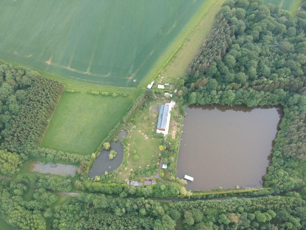 Florennes Gite Neuf 150 M2 Devant Un Grand Lac Prive De 2 Hectares Poissonneux Au Milieu Des Bois Exterior foto